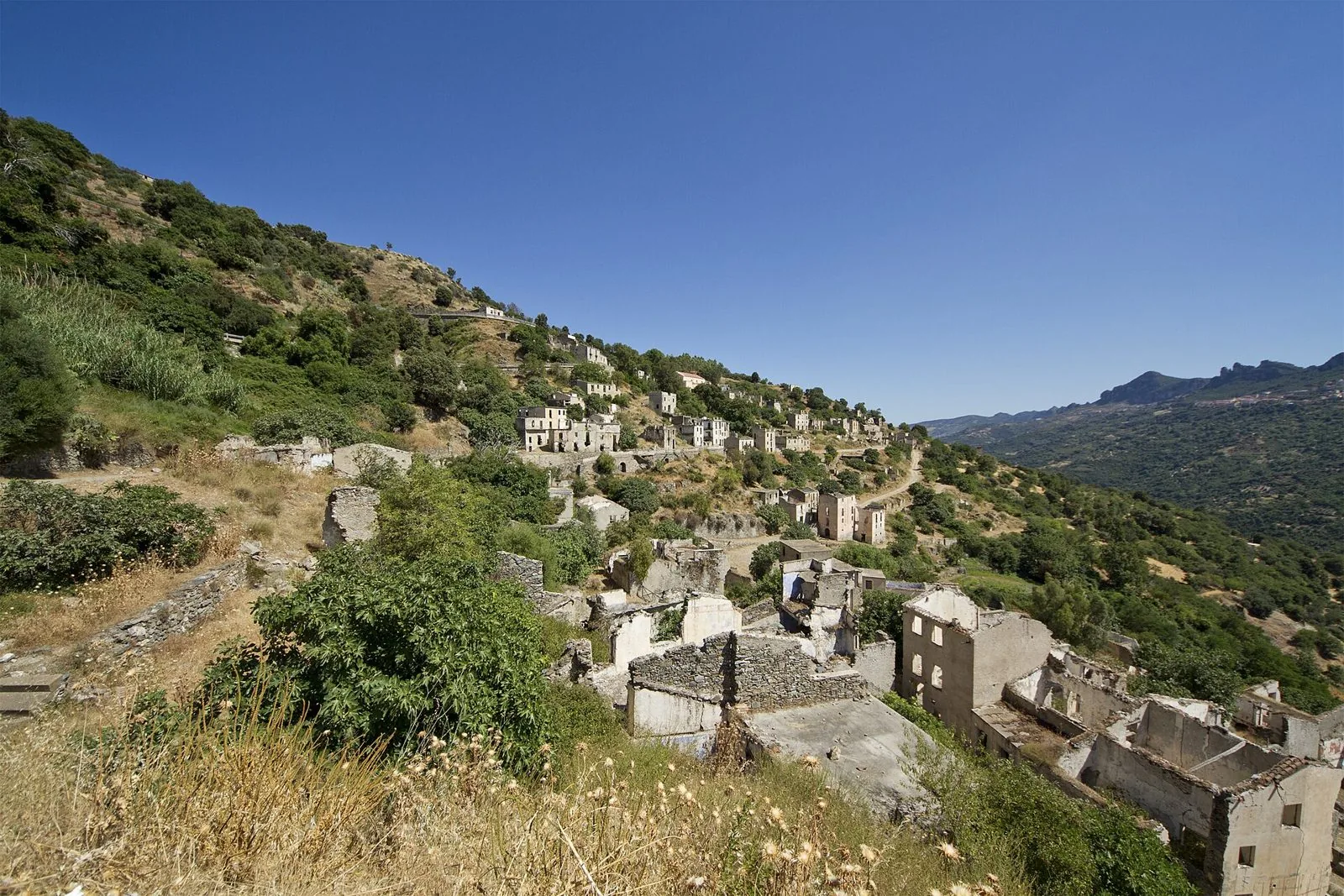 Le case abbandonate di Gairo Vecchio disposte sul pendio di una collina verde, con montagne sullo sfondo e cielo azzurro